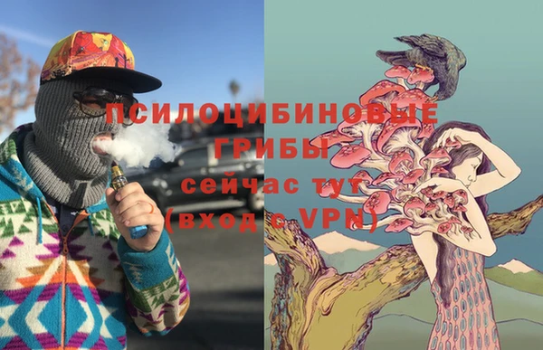 СК Алексин