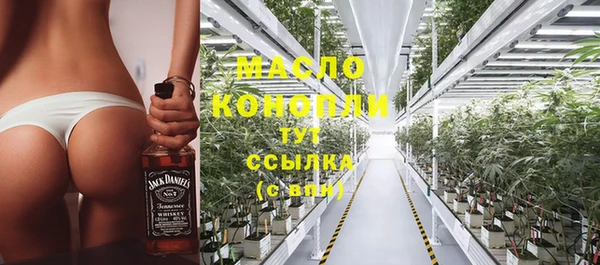 СК Алексин