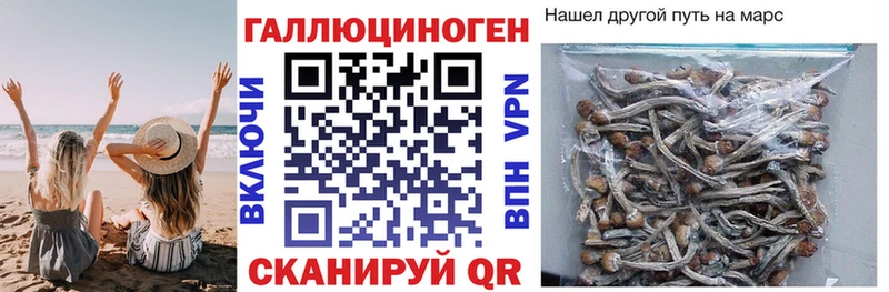 Псилоцибиновые грибы мухоморы  Купить  Муравленко 